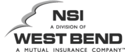 NSI Logo
